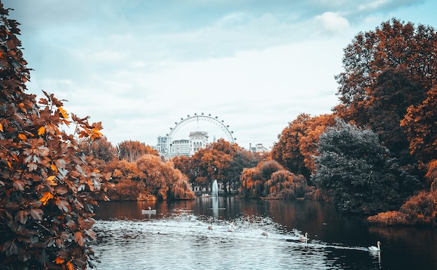 St James's Park, Londres