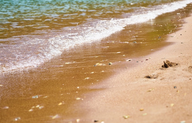 Suave ola en la playa