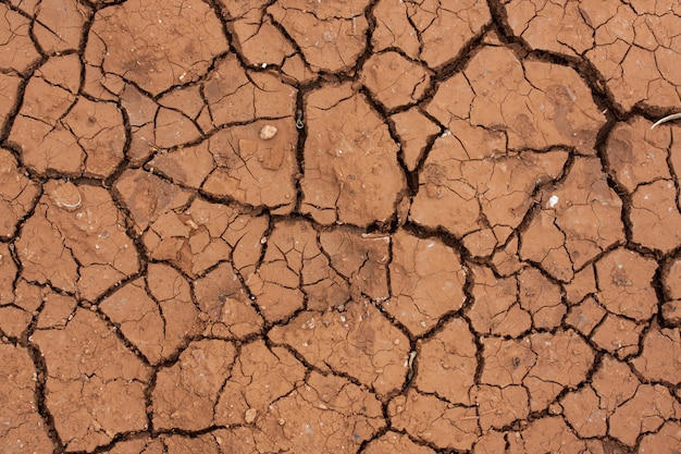 Suelo de barro agrietado