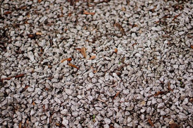 Suelo cubierto de pequeñas piedras bajo la luz del sol con un fondo borroso