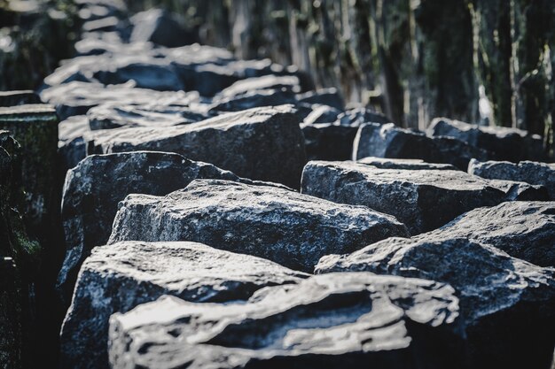 Suelo fangoso de un mar seco y una valla de madera con piedras grandes