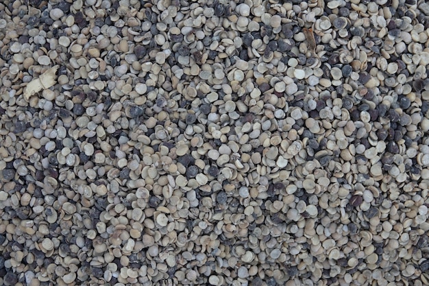 Suelo de piedras pequeñas