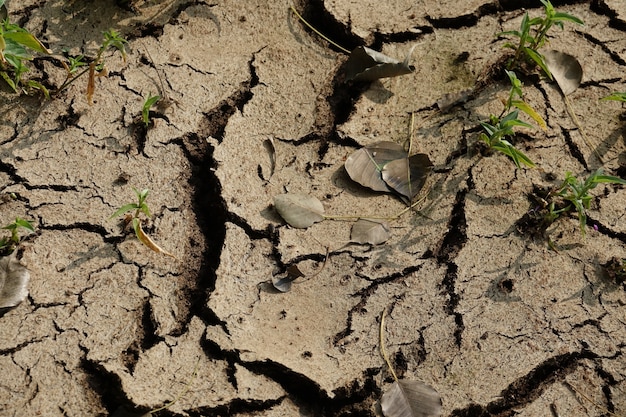 Suelo de tierra seco y agrietado