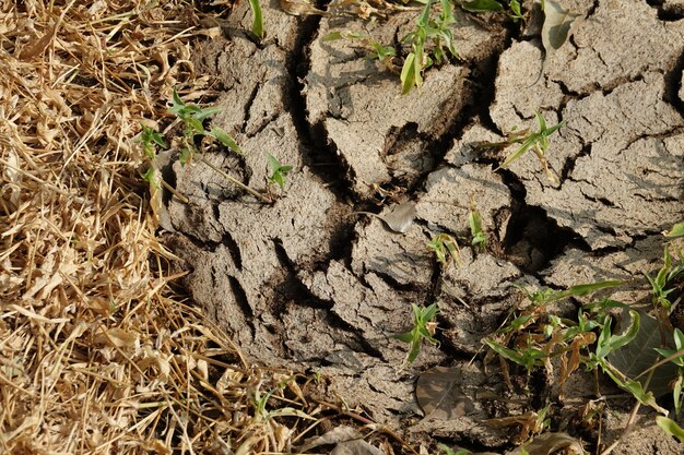 Suelo de tierra seco y agrietado