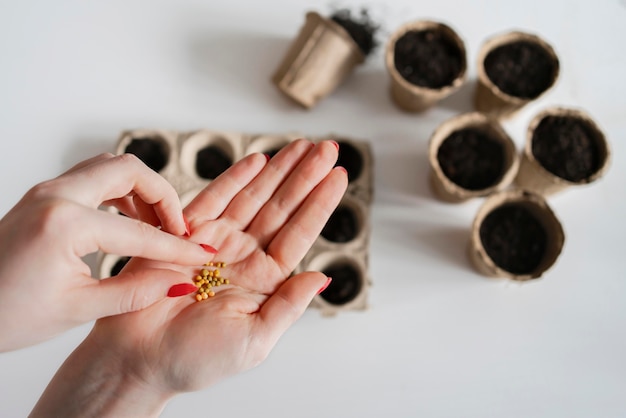 Foto gratuita suelo de vista superior para plantas