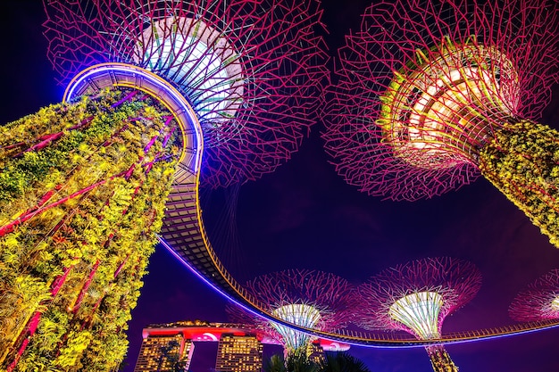 Foto gratuita super árbol en garden by the bay, singapur.