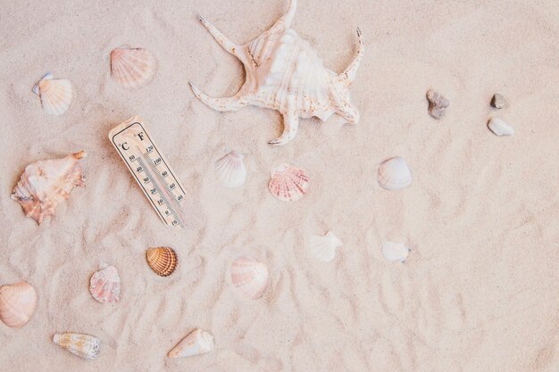 Superficie de arena con conchas marinas y termómetro