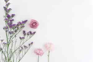 Foto gratuita superficie blanca con flores bonitas