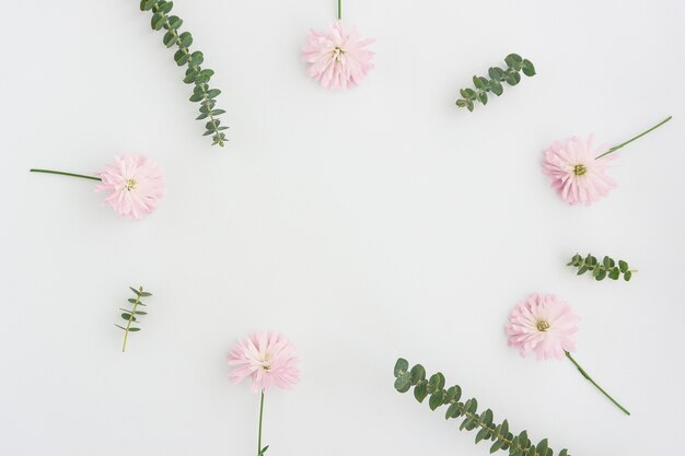 Superficie con flores rosas y espacio en blanco