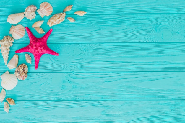 Superficie de madera azul con estrella de mar y conchas marinas