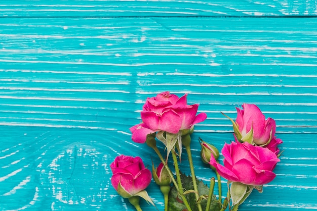 Superficie de madera azul con rosas bonitas