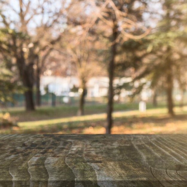 Superficie de madera delante de los árboles de otoño en el parque