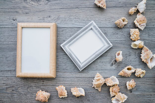 Superficie de madera con dos marcos decorativos y conchas marinas