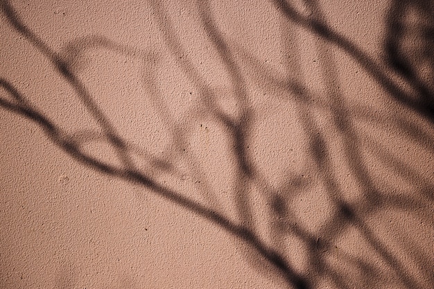 Superficie muro urbano con sombra de árbol