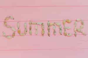 Foto gratuita superficie rosa con conchas marinas decorativas para el verano