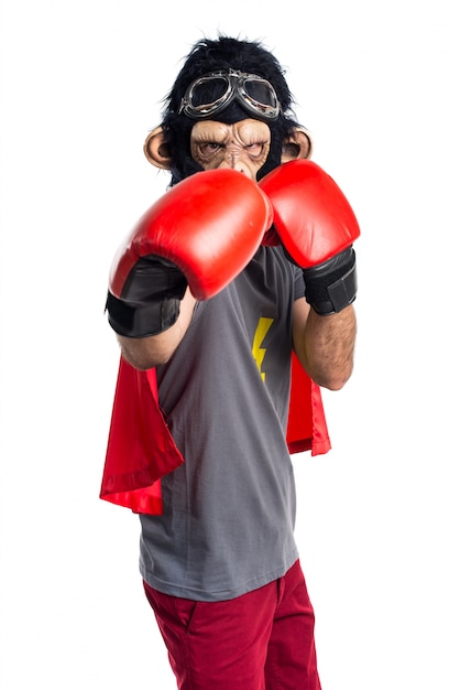 Foto gratuita superhéroe mono con guantes de boxeo