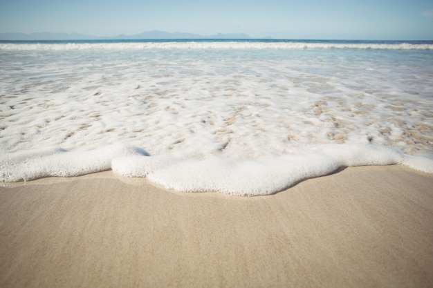 Foto gratuita surf de mar en la playa