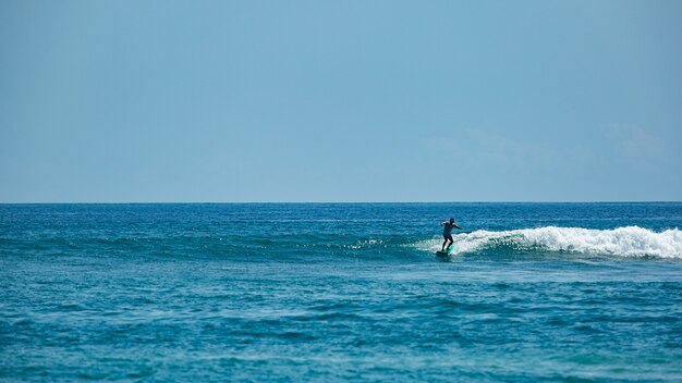 Surfista en una ola azul.