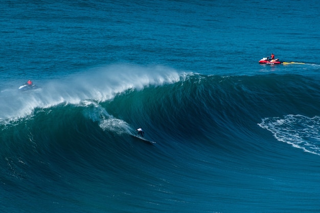 Los surfistas cabalgando sobre las olas del Océano Atlántico hacia la orilla en Nazaré, Portugal