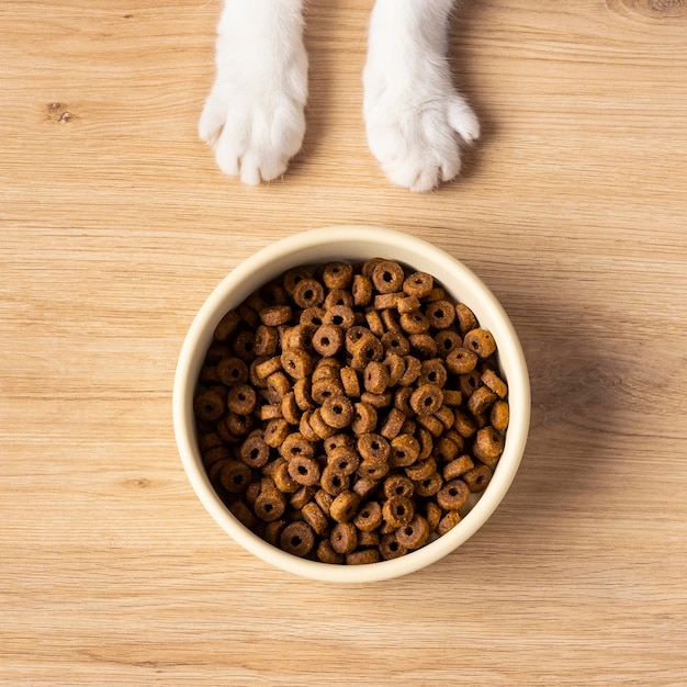 Foto gratuita surtido de alimentos para mascotas de naturaleza muerta