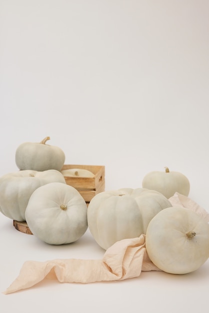 Foto gratuita surtido de calabazas blancas y caja