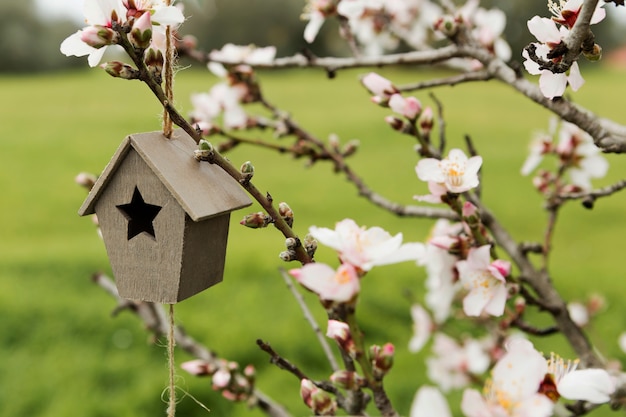 Surtido de casita de madera en un árbol