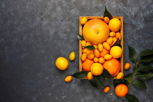 Surtido de cítricos frescos en la cesta de almacenamiento de alimentos, limones, naranjas, mandarinas, kumquats, toronjas, vista superior
