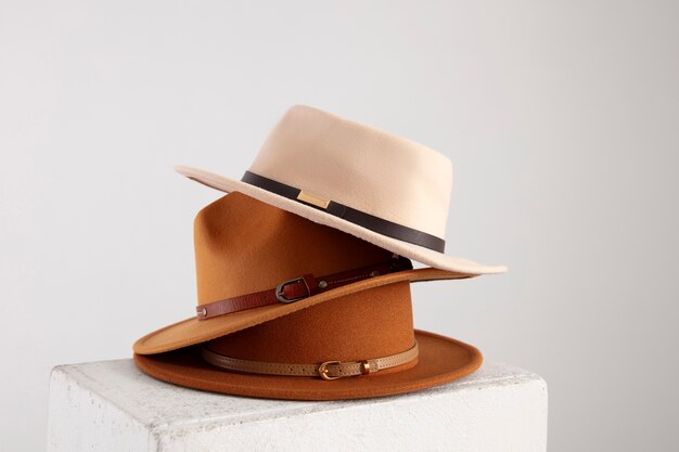 Surtido de elegantes sombreros fedora