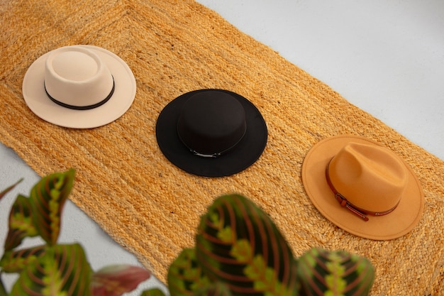 Foto gratuita surtido de elegantes sombreros fedora