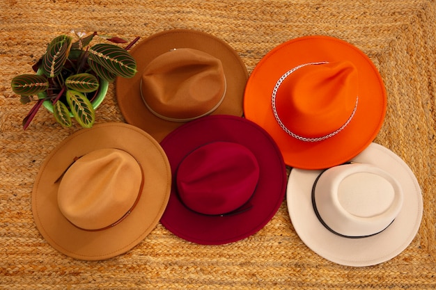 Foto gratuita surtido de elegantes sombreros fedora