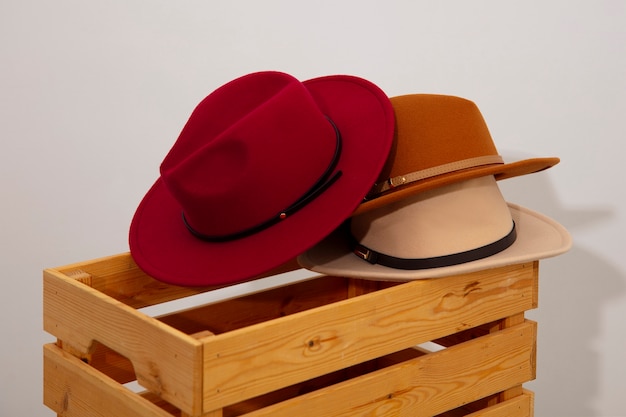 Surtido de elegantes sombreros fedora