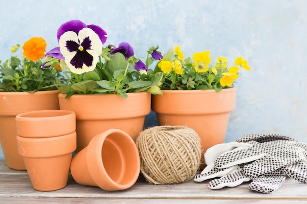 Surtido de flores y herramientas de jardinería.