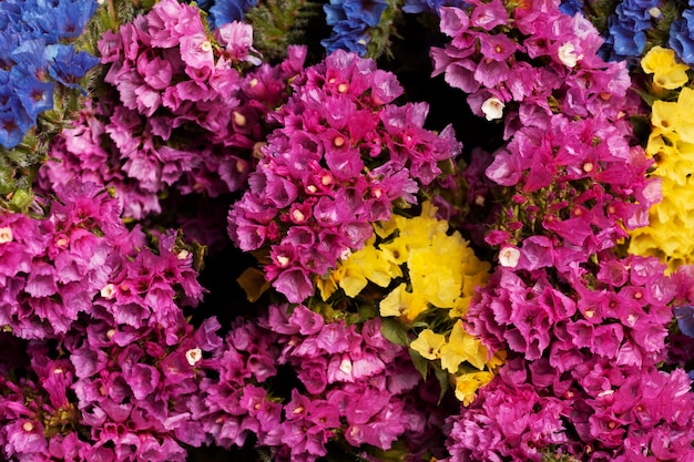 Surtido de hermosas flores de fondo.