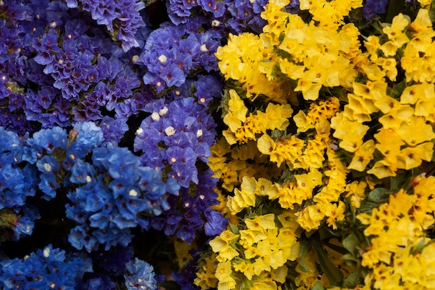 Surtido de hermosas flores de fondo.