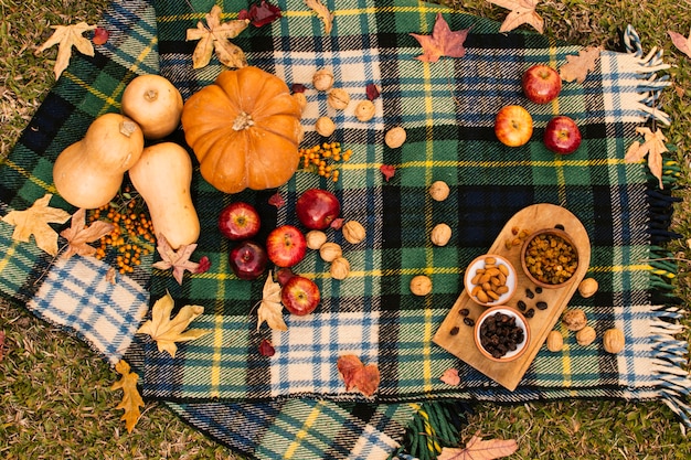 Foto gratuita surtido plano de otoño sobre manta de picnic