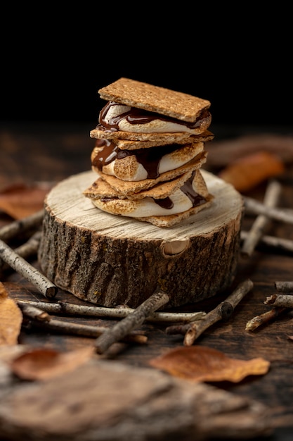 Surtido de postres deliciosos s'mores