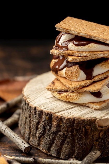 Surtido de postres deliciosos s'mores