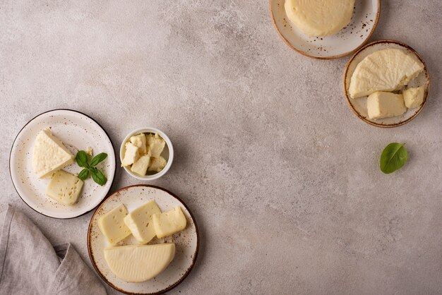 Surtido de quesos paneer tradicionales