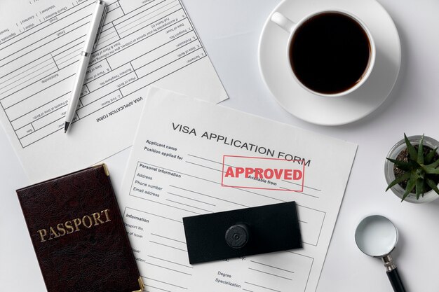 Surtido de solicitud de visa plana