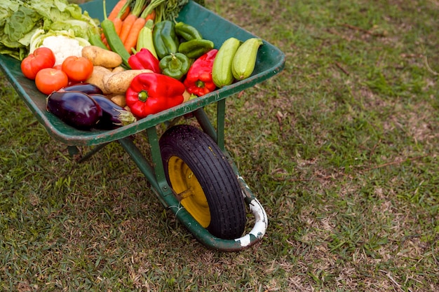 Foto gratuita surtido de verduras de alto ángulo en carretilla