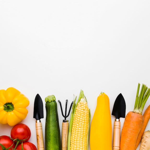 Surtido de vista superior de diferentes verduras y herramientas de jardinería.