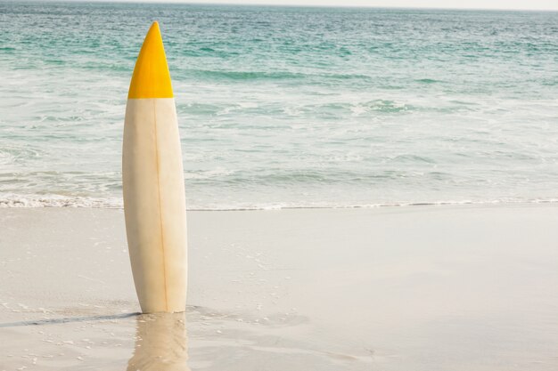 Tabla de surf en la arena