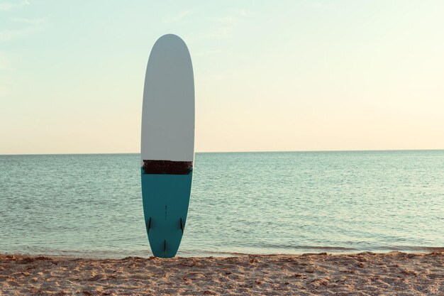 Tablas de surf en la playa