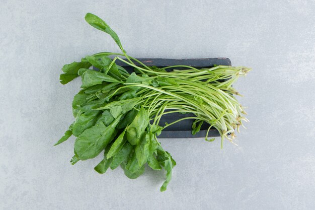 Tablero lleno de vegetación diferente, sobre el fondo de mármol.