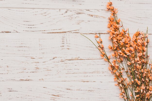 Tablero de madera blanco con decoración floral