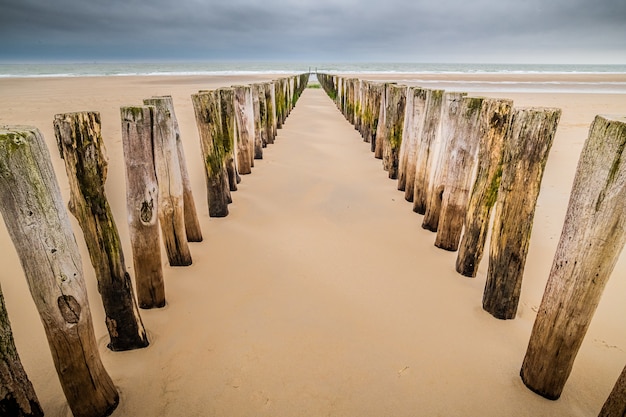 Tablones de madera verticales en la arena de un muelle de madera inacabado en la playa bajo un cielo nublado