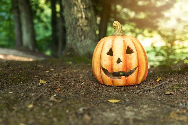 Tallado de calabaza en el suelo