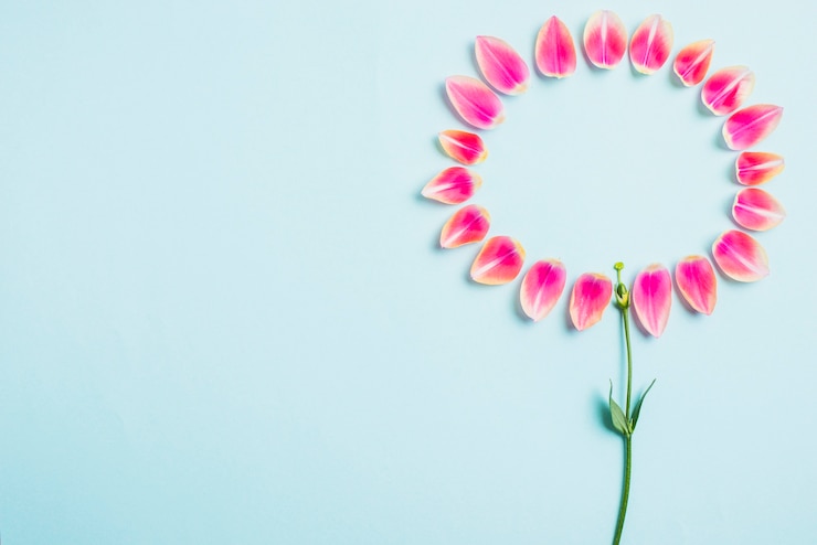 Foto gratuito tallo cerca de pétalos de flores