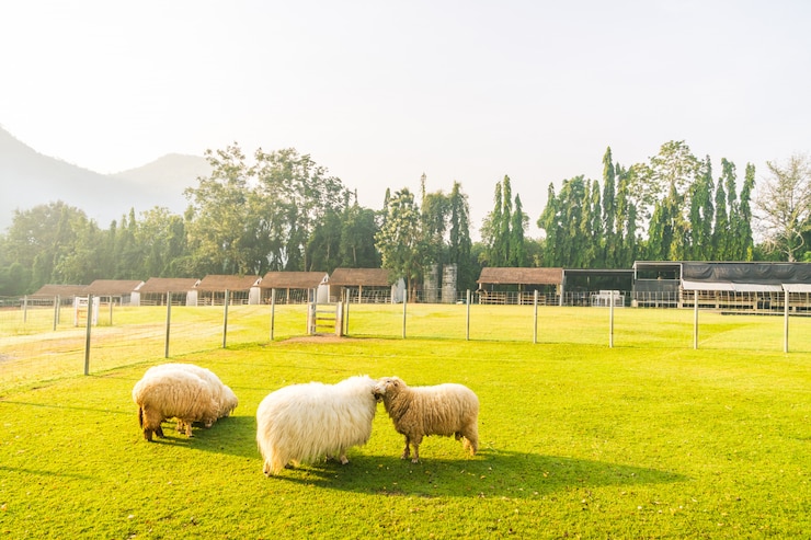 Photo Gratis taman buram abstrak dengan lapangan hijau