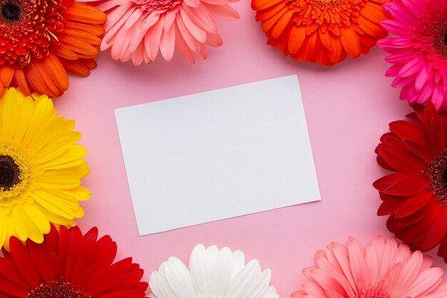 Tarjeta blanca en blanco rodeada de flores de gerbera